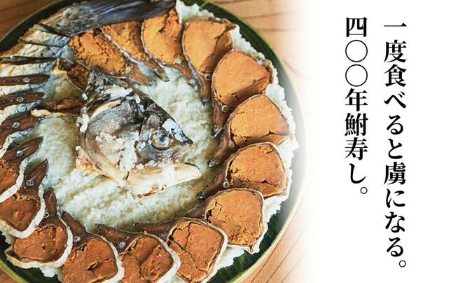 【B-905】総本家喜多品老舗　四〇〇年鮒寿し 二種食べ比べ（飯漬スライスパック・大溝 甘露漬スライスパック） 【高島屋選定品】
