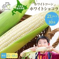 【2026年7月～発送】富良野産 ホワイトコーン『ホワイトショコラ』BIG 2Lサイズ10本 とうもろこし