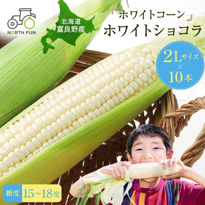 【2026年7月～発送】富良野産 ホワイトコーン『ホワイトショコラ』BIG 2Lサイズ10本 とうもろこし