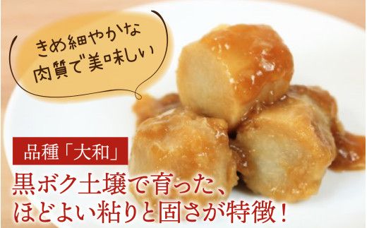 【先行予約】さといも 大和里芋（やまと）5kg【2026年11月中旬より順次発送予定】 | 野菜 芋 イモ 根菜 いも 煮物 旬 味覚 秋