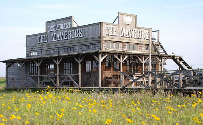 [SUNSHINE STABLES]利用補助券（3,000円分） 体験チケット チケット 