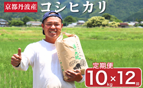 定期便 令和7年産 京都丹波産 コシヒカリ 10kg　12回