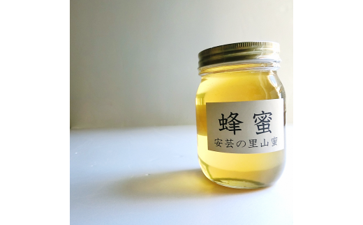 安芸の里山蜜 500g はちみつ 国産 天然 純粋 蜂蜜 百花蜜 花はちみつ 生はちみつ 非加熱 ハチミツ 無添加 自然 里山 天然はちみつ 数量限定 安芸駅 ぢばさん市場 おすそ分け 安芸市 高知県 ギフト プレゼント 贈り物 安芸市 高知県