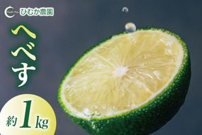 【期間限定発送】 へべす 宮崎 種が少ない ひむか農園のへべす 1kg 化粧箱入り [ひむか農園 宮崎県 日向市 452061155] 先行予約 国産 ヘベス