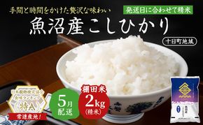 【令和7年産米】魚沼産こしひかり 棚田米(十日町地域) 精米 2kg 5月配送 お米 精米 こめ ご飯 白米 旧：五郎兵衛