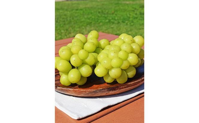 【2026年10月発送】シャインマスカット 訳あり家庭用 約2kg 4～6房 マスカット ぶどう 果物 信州 長野