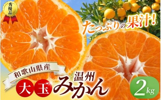 ボリューム満点！大玉  温州みかん 2kg  ※秀優混合【2L～3Lサイズ】【2025年12月から2026年２月下旬頃に順次発送】＜味好農園＞/ 温州 蜜柑 みかん 柑橘 果物 フルーツ ミカン 甘い 美味しい【agy042】
