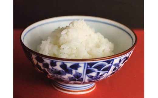 【新米　先行予約】令和8年産近江米こしひかり【5kg×1袋】【T037W】