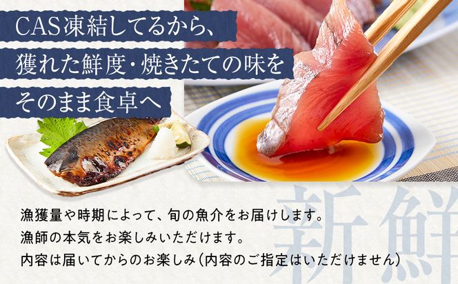 CAS凍結 南紀の誉れ 旬 の 海産物 6品 セット お楽しみ 簡単調理 干物 お造り 塩焼き など 304018_C001