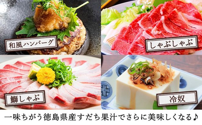 爽快！すだち ぽん酢 セット すだち果汁 100ml すだちぽん酢100ml 各1本 JA徳島市農産工場《30日以内に出荷予定(土日祝除く)》徳島県 佐那河内村 ぽん酢 ポン酢 酢 調味料 徳島県産 スダチ 果汁 鍋料理 魚 寿司 すだち 焼酎 豆腐 肉 調味料 ご当地調味料---sanagouchi_jat_17_1hk---