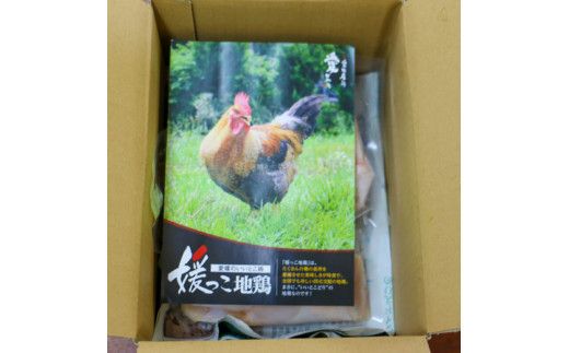 定期便 3回 数量限定 最高級 ブランド 地鶏 媛っこ地鶏 セット3種 ソーセージ プレーン 鶏肉 鶏むね 鶏もも こだわり 小分け