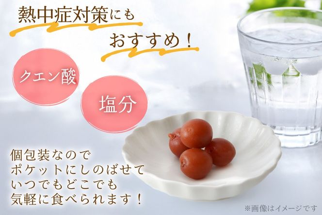 【やばいだろ】粋な小梅 30粒×15 計450粒 [山梨農産食品 山梨県 韮崎市 20743417] 梅干し 梅干 うめぼし 梅 小粒 小梅 カリカリ梅 国産 個包装