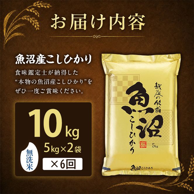 【令和8年産 先行予約】無洗米「6カ月定期便」食味鑑定士厳選！１０ｋｇ(５ｋｇ×２)×６回 白米 安心 安全 こだわり 米 コシヒカリ 定期 新潟県 十日町市