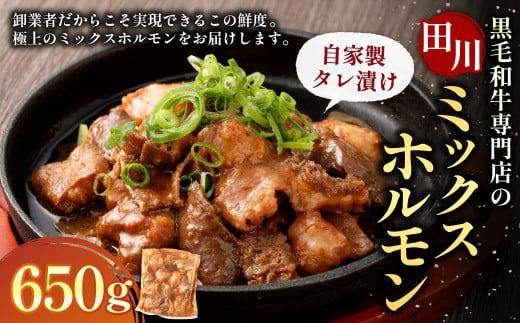 九州産 黒毛和牛 ミックスホルモン(自家製タレ漬け) 650g×1個 / ホルモン ミックスホルモン 牛肉 黒毛和牛