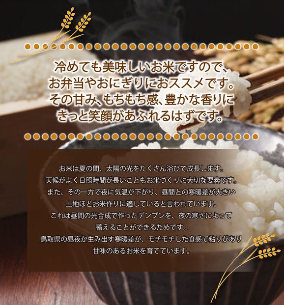 令和6年産こしひかり精米5kg 313726_CJ001