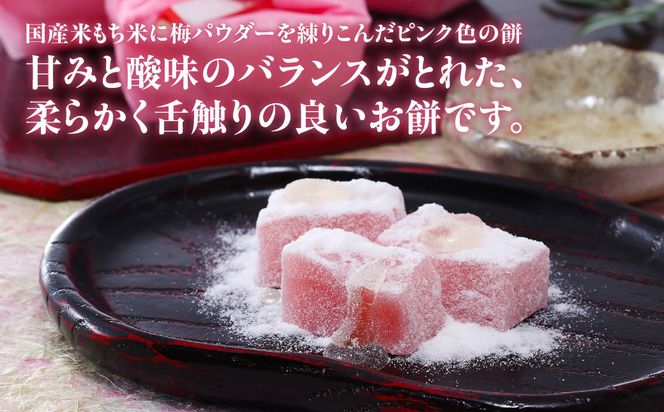 梅餅（10個セット） ANBT003