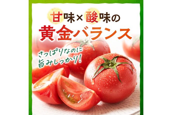 【先行予約】京丹後産・京トマト 4kg（12～24玉） 春夏発送（2026年5月中旬～発送）　JK00034