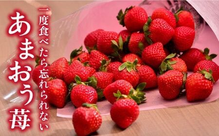 【先行受付】【全2回定期便】糸島産【冬】 あまおう 2パック 毎月計500g【2026年12月上旬以降順次発送】 糸島市 / 南国フルーツ株式会社 [AIK025]