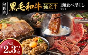 延岡産黒毛和牛(経産牛)1頭食べ尽くしセット N0221-YD0275