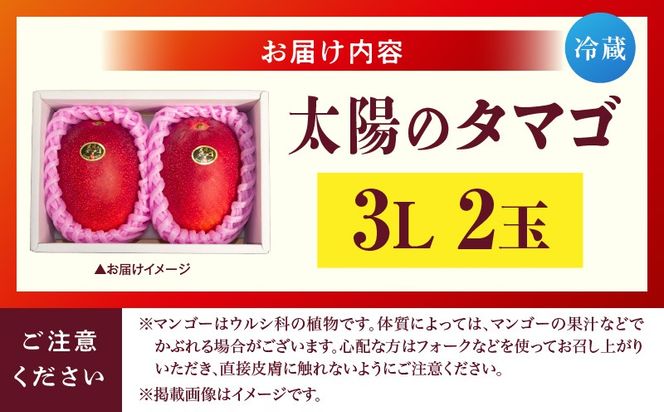 宮崎県産 太陽のタマゴ 3L×2玉