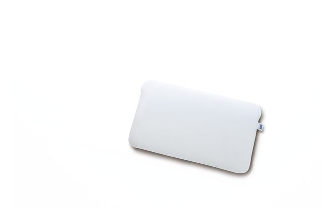 エアウィーヴ　ピロースリムmini 232238_T259