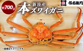 【伍右衛門】新湊産本ズワイガニ約700g｜海の幸 海鮮 お祝い 集まり メニュー 冬の味覚 茹でたて 新鮮 国産 富山県産 ※離島への配送不可 ※2025年11月上旬～2026年3月中旬頃 ※発送まで1か月以上かかる場合があります。