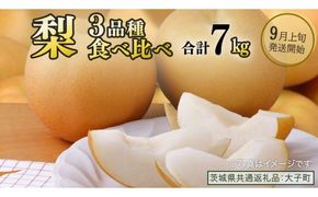【食べ比べ】 梨 3品種 合計 約7kg 【2026年9月上旬発送開始】(茨城県共通返礼品：大子町) なし 果物 くだもの フルーツ おまかせ 旬