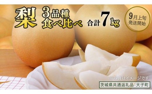 【食べ比べ】 梨 3品種 合計 約7kg 【2026年9月上旬発送開始】(茨城県共通返礼品：大子町) なし 果物 くだもの フルーツ おまかせ 旬