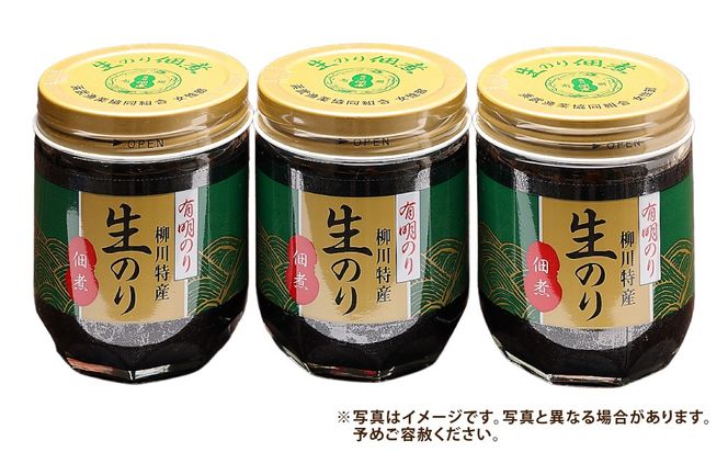福岡有明のり 柳川特産 生のり佃煮 3本入（170g×3）計510g 海苔 つくだ煮 ご飯のお供 海藻 加工食品 常温