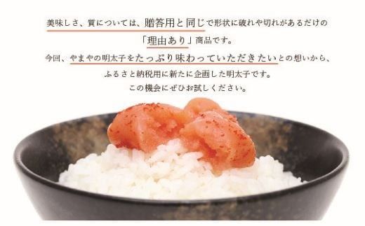 もつ鍋 明太子 やまや 訳あり 6回 定期便 もつ鍋セット 5人前 訳あり明太子 1kg [やまやコミュニケーションズ 福岡県 宇美町 um40azo860014] 博多 明太子 めんたいこ 牛もつ モツ鍋 牛ホルモン