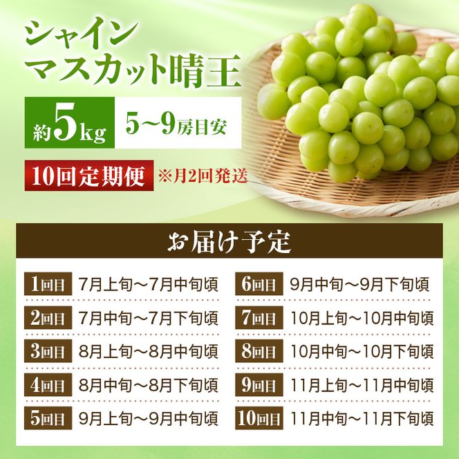 【2026年先行受付】 シャインマスカット 晴王 10回 定期便 秀品 大房 岡山県産 ぶどう ギフト 御礼 プレゼント 御礼 御祝 御供 果物 くだもの フルーツ