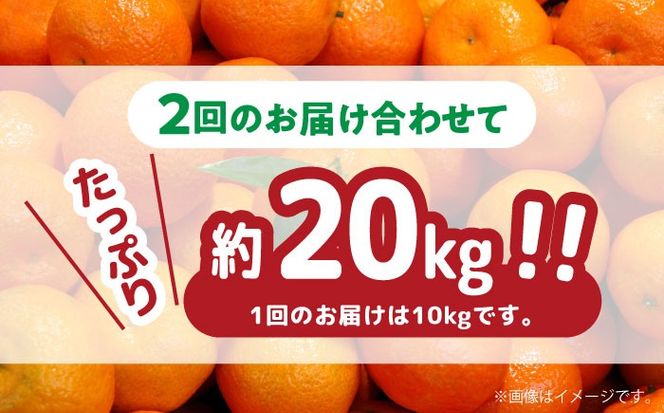 【2024年12月〜発送】【大満足！ 2回 定期便 】高糖度温州みかん約10kg（傷もの） （計約20kg） / みかん 南島原市 / 南島原果物屋 [SCV016]