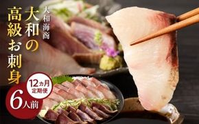 【12ヶ月定期便】大和海商　大和の高級お刺身　6人前　冷蔵　N072-YG0183_1