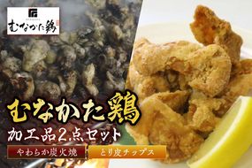 むなかた鶏加工品2点セット（とり皮チップス・やわらか炭火焼）【道の駅】_HA0772