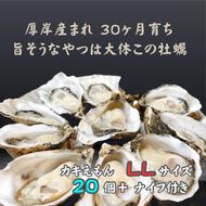 厚岸で産まれ30ヵ月育成 北海道 厚岸産 牡蠣 カキえもん LLサイズ 20個 カキ 