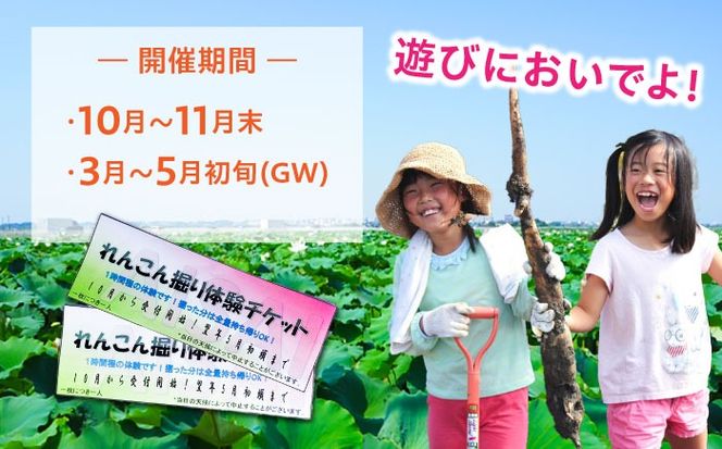 蓮根(レンコン)掘り体験 ペアチケット 【清水食品株式会社】 れんこん 食育 体験 産地直送 愛西市/ 清水食品株式会社[AEAJ004]