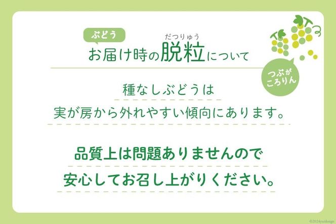 【2025年発送】山梨県産 シャインマスカット3～5房 (2.2kg以上) [斎庵 山梨県 韮崎市 20742804] シャインマスカット フルーツ 果物 くだもの マスカット シャイン ブドウ ぶどう 葡萄 種無し 山梨県産 期間限定 季節限定 冷蔵