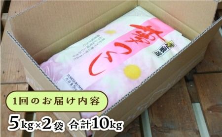 【全12回定期便】糸島産 夢つくし 10kg × 12回 糸島市 / 三島商店 [AIM013] 米 白米