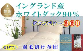 羽毛布団【イングランド産ホワイトダウン90%】【ダウンパワー360】セミダブル CK524