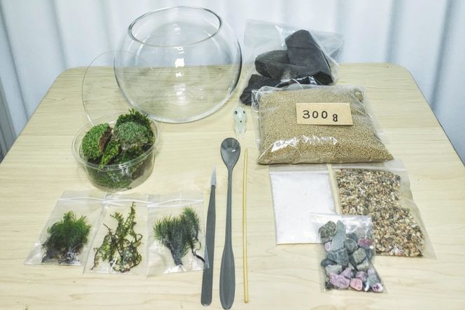 コケテラリウム制作キット直径15cm 動画説明付き〈コケ 苔 こけ 植物 初心者 インテリア 手作り セット キッド 雑貨 日用品〉 