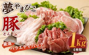 「夢やまびこ豚」厳選バラエティパック 1.0kg | 豚肉 肉 詰め合わせ セット トンカツ 小分け 真空パック 冷蔵 送料無料