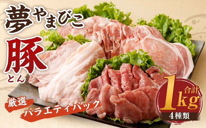 「夢やまびこ豚」厳選バラエティパック 1.0kg | 豚肉 肉 詰め合わせ セット トンカツ 小分け 真空パック 冷蔵 送料無料