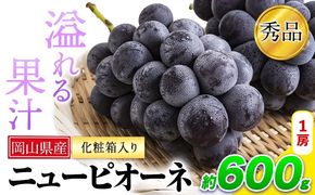 岡山県産 ニューピオーネ 約600g 1房 葡萄 果物 秀品 スイーツ フルーツ デザート 秋旬 岡山県矢掛町《9月中旬～11月上旬頃に出荷予定(土日祝除く)》---ofn_cssm_g911_25_15500_1---