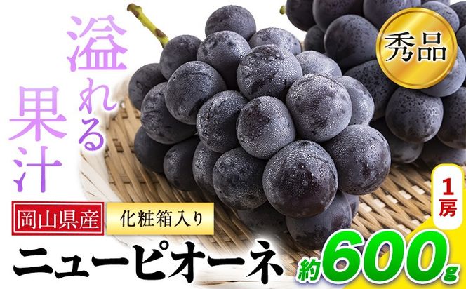 岡山県産 ニューピオーネ 約600g 1房 葡萄 果物 秀品 スイーツ フルーツ デザート 秋旬 岡山県矢掛町《8月下旬-10月中旬頃出荷》---ofn_cssm_h810_26_15500_1---