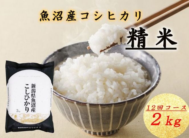 T-09【令和7年産 頒布会】魚沼産コシヒカリ 2kg×全12回 お米 コメ 