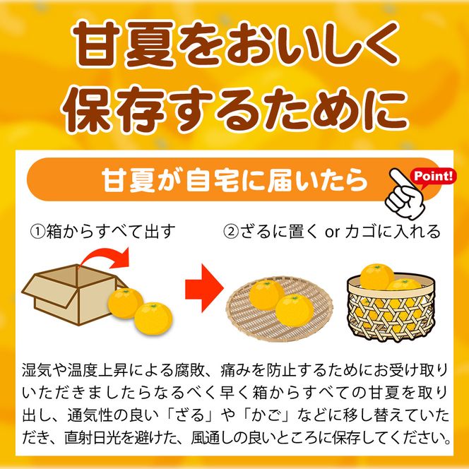 【ご家庭用訳あり】紀州有田産 すっきり爽やか 甘夏みかん 8kg  ※2027年3月中旬頃〜2027年3月下旬頃に順次発送予定 / 甘夏 あまなつ みかん ミカン 蜜柑 温州みかん 柑橘 フルーツ 果物 くだもの 和歌山【uot847】