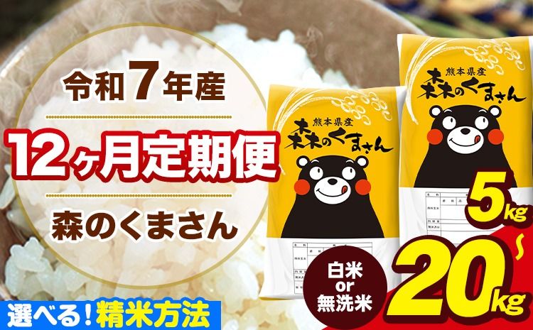 [12ヶ月定期便]新米 米 令和7年産 特A受賞品種 森のくまさん 送料無料 選べる 精米方法 白米 無洗米 内容量 5kg 10kg 15kg 20kg 熊本県産(長洲町産含む) お米[11月から出荷開始]長洲町 ふるさとのうぜい---mk7tei_150000_5kg_nov12_ng_h---
