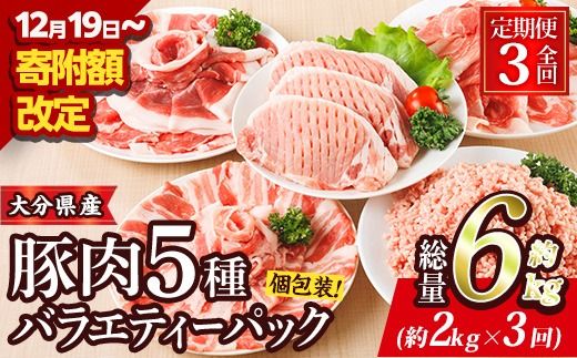 ＜定期便・全3回 (連続)＞ 豚肉 バラエティーパック (総量6kg・5種)豚バラ しゃぶしゃぶ 鍋 とんかつ ロース 小分け 個包装 豚こま 小間切れ スライス ミンチ セット 詰め合わせ 冷凍 食べ比べ 国産 大分県 佐伯市【BD321】【西日本畜産】