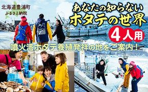 あなたの知らないホタテの世界（4人用） ふるさと納税 人気 おすすめ ランキング 体験 イベント ホタテ 見学 養殖 漁師 4人 北海道 豊浦町 送料無料 TYUL016
