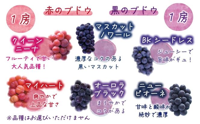 【2026年の先行予約】 岡山 花笑み農園『彩り３種セット』贈答用（1.8kg） 3M-2上 / ぶどう 詰め合わせ 食べ比べ シャインマスカット ピオーネ クイーンニーナ 岡山 真庭市 【hana084-01】